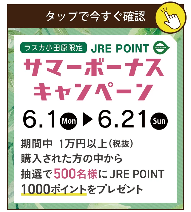 サマーボーナスキャンペーン
